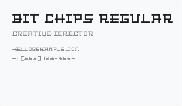 Bit Chips Regular Business Card