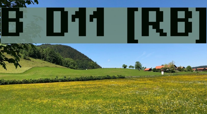 Bit Daylong11 [sRB] Example 2