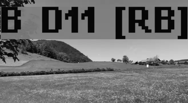 Bit Daylong11 [sRB] Polices examples