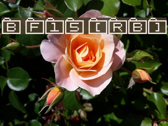 Bit Folder15 [sRB] Example 1