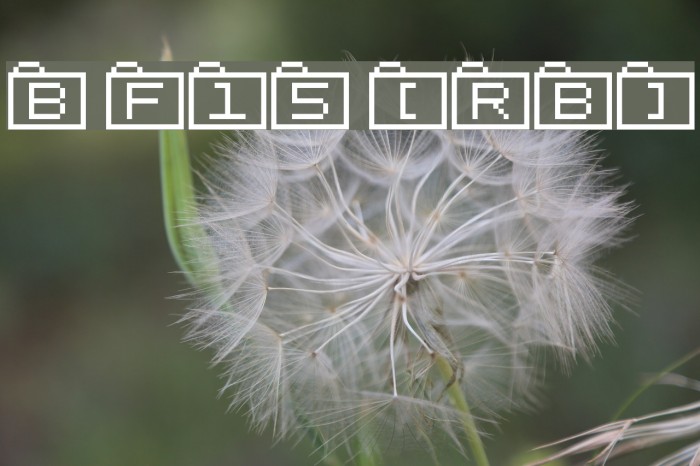 Bit Folder15 [sRB] Example 2