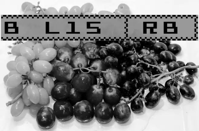 Bit Line15 [sRB] Schriftart examples