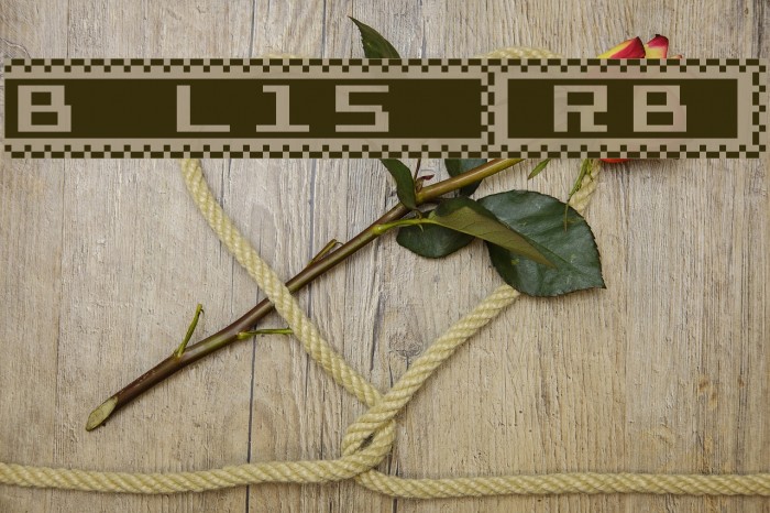 Bit Lines15 [sRB] Example 3