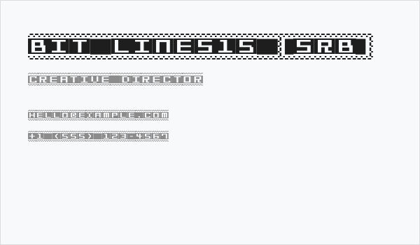 Bit Lines15 [sRB] Business Card