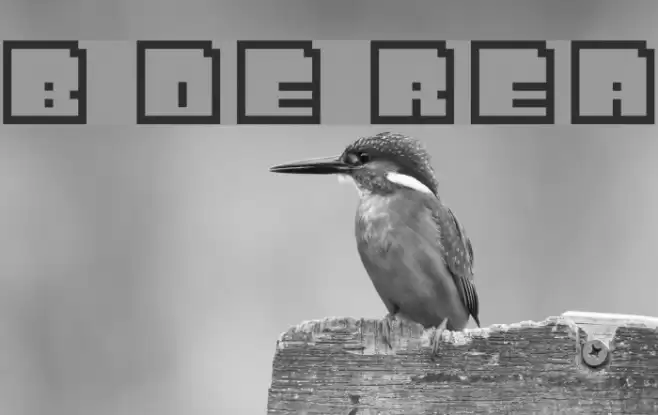 Bit Outline Regular Font examples