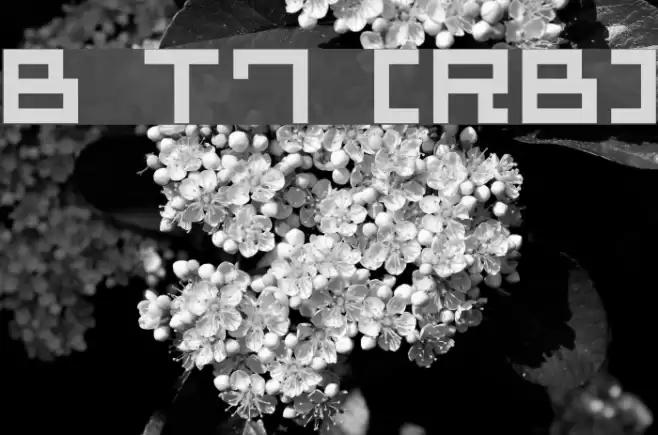 Bit Trip7 [sRB] Font examples