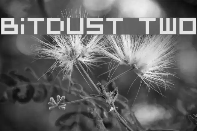 BitDust Two Font examples