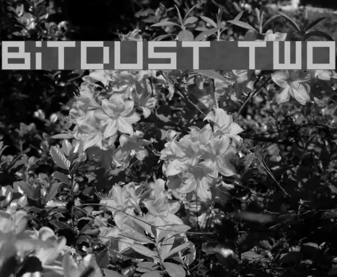 BitDust Two Font examples