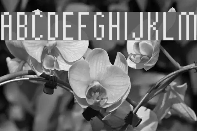 BitHigh Font examples