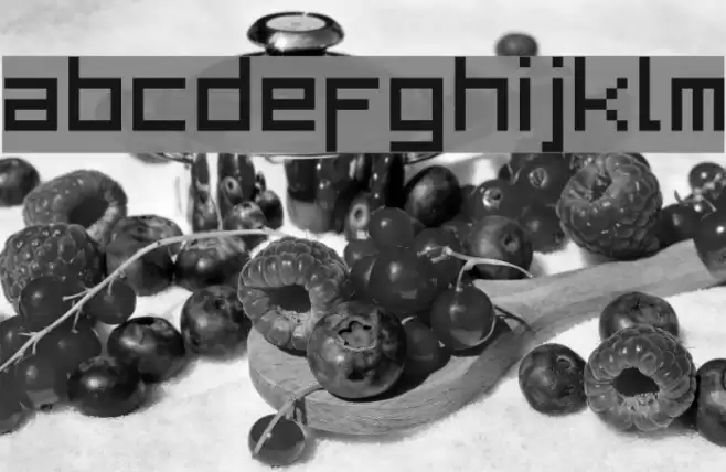 BitLow Font examples