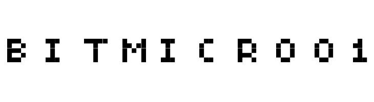 BitMicro01 