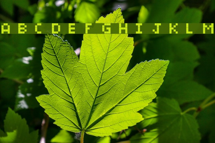 BitMicro01 Font examples