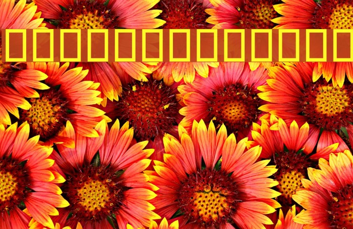 Bitaa Font examples