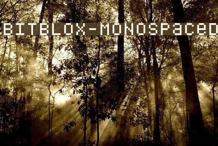 Bitblox-Monospaced Шрифта examples