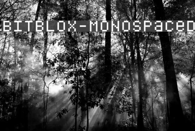 Bitblox-Monospaced Font examples