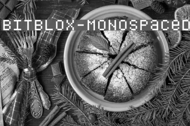 Bitblox-Monospaced Font examples
