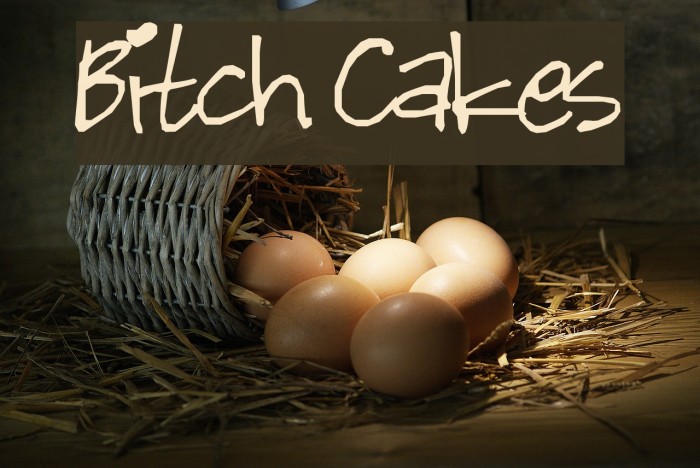 Bitch Cakes Polices examples