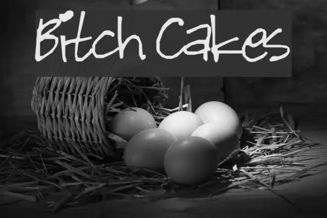Bitch Cakes Font examples