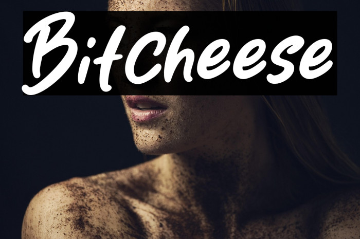Bitcheese Example 1