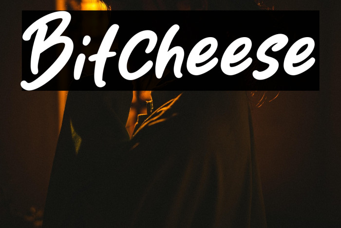 Bitcheese Example 3