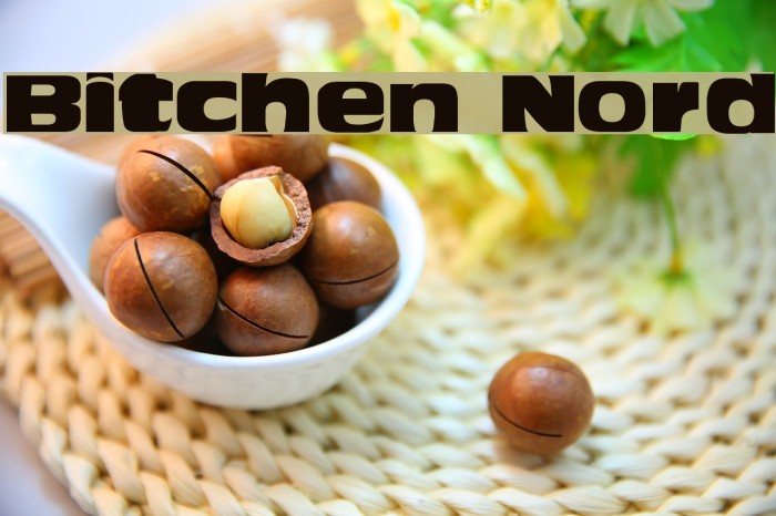Bitchen Nord Font examples
