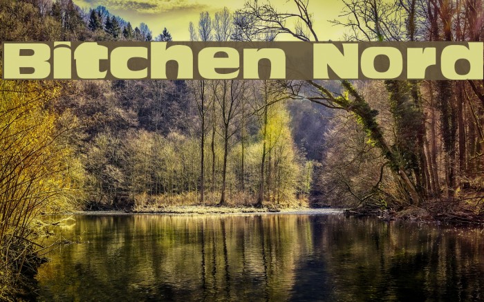Bitchen Nord Font examples