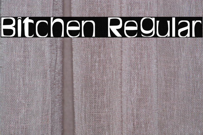 Bitchen Regular Example 3
