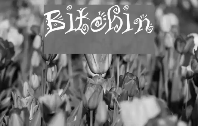 Bitchin Font examples