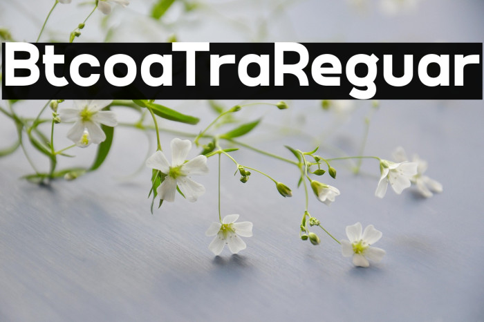 Bitcoa Trial Regular Example 1