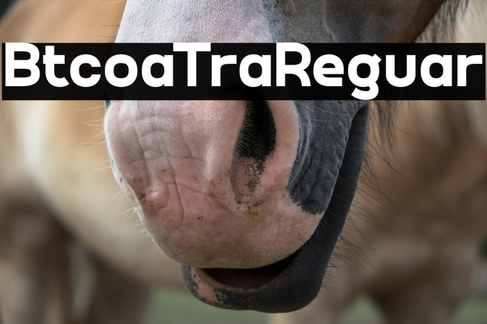 Bitcoa Trial Regular Example 2