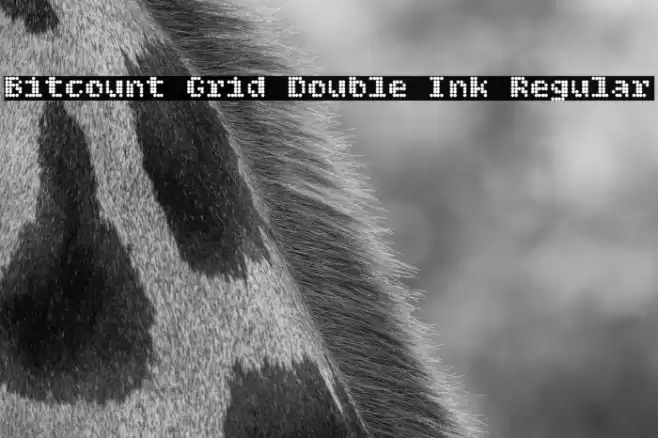 Bitcount Grid Double Ink Regular Fonte examples
