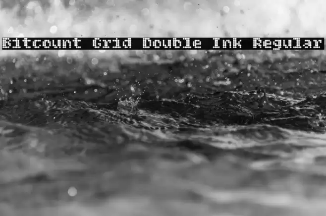 Bitcount Grid Double Ink Regular Fonte examples