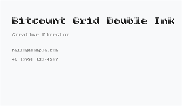Bitcount Grid Double Ink Regular Business Card