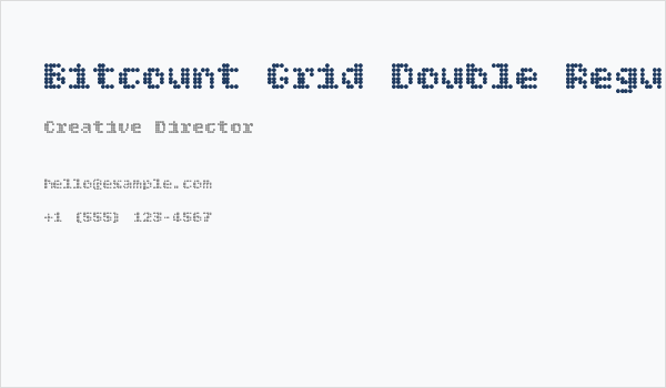Bitcount Grid Double Regular Business Card