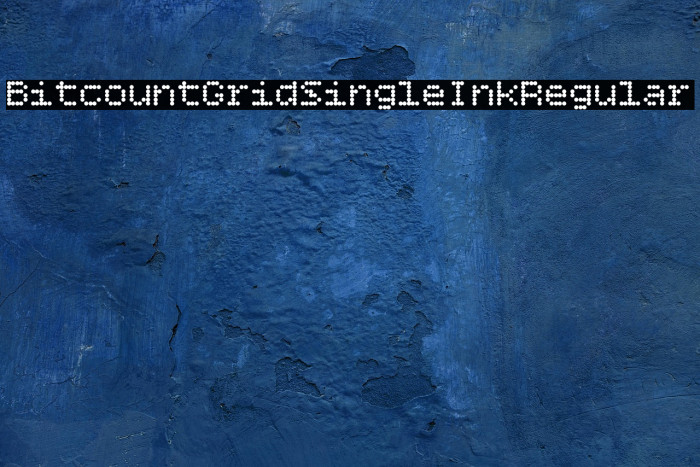 Bitcount Grid Single Ink Regular Example 2