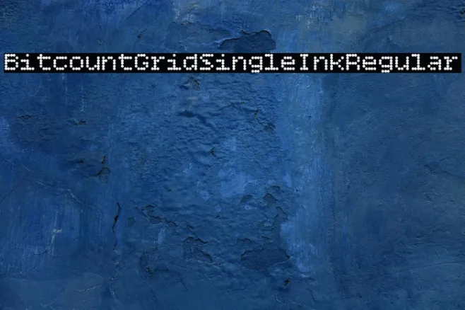 Bitcount Grid Single Ink Regular Example 2