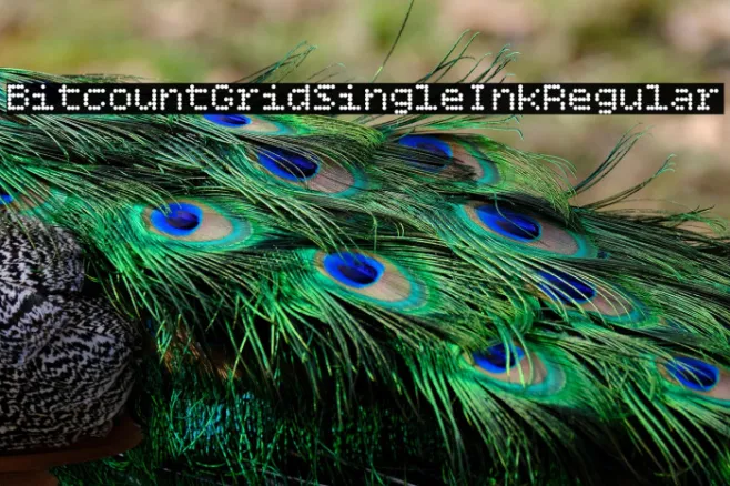 Bitcount Grid Single Ink Regular Example 3