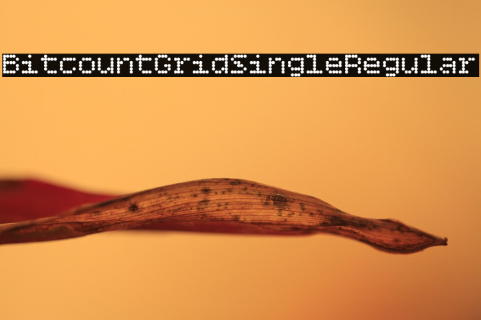 Bitcount Grid Single Regular Example 2