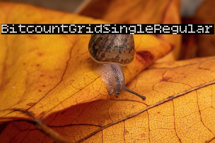 Bitcount Grid Single Regular Example 3