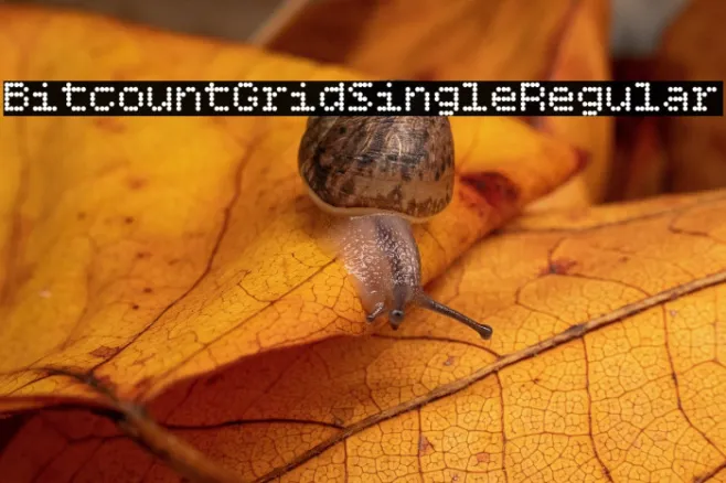 Bitcount Grid Single Regular Example 3