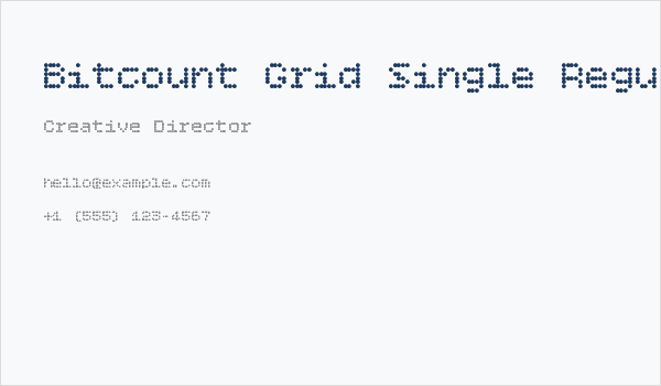 Bitcount Grid Single Regular Business Card