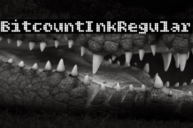 Bitcount Ink Regular Example 2