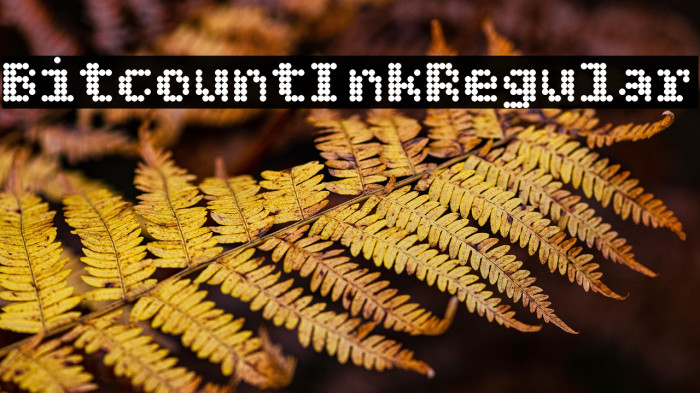 Bitcount Ink Regular Example 3