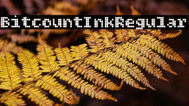 Bitcount Ink Regular Example 3