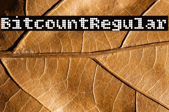 Bitcount Regular Example 1