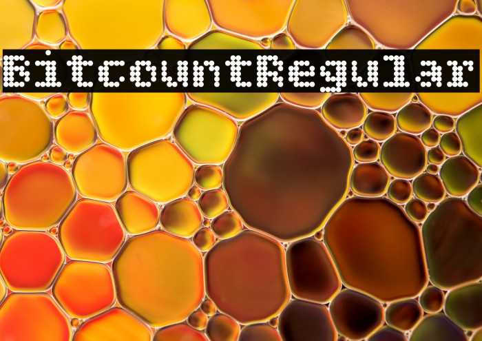 Bitcount Regular Example 3