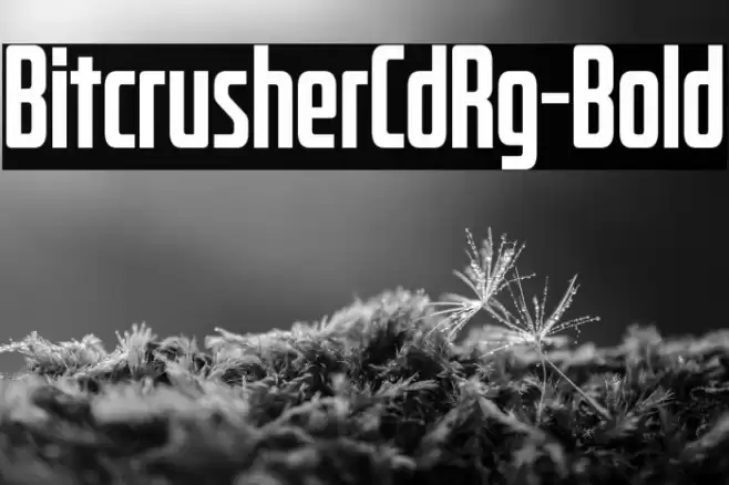 BitcrusherCdRg-Bold Font examples