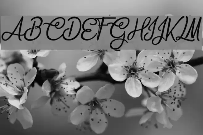 Bite Chocolate Font examples