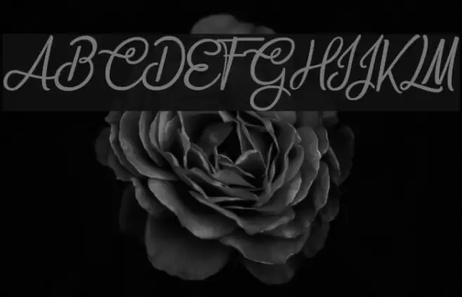 Bite Chocolate Font examples