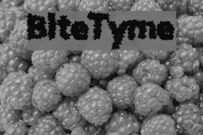 BiteTyme Font examples